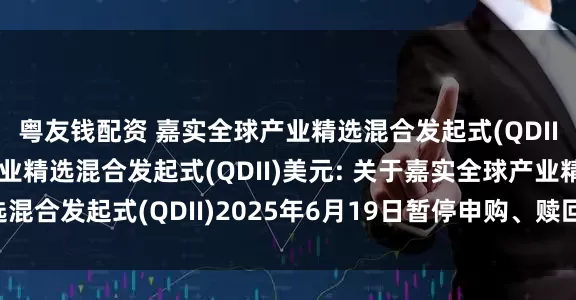 粤友钱配资 嘉实全球产业精选混合发起式(QDII)人民币,嘉实全球产业精选混合发起式(QDII)美元: 关于嘉实全球产业精选混合发起式(QDII)2025年6月19日暂停申购、赎回及定期定额投资业务的公告