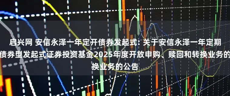 启兴网 安信永泽一年定开债券发起式: 关于安信永泽一年定期开放债券型发起式证券投资基金2025年度开放申购、赎回和转换业务的公告