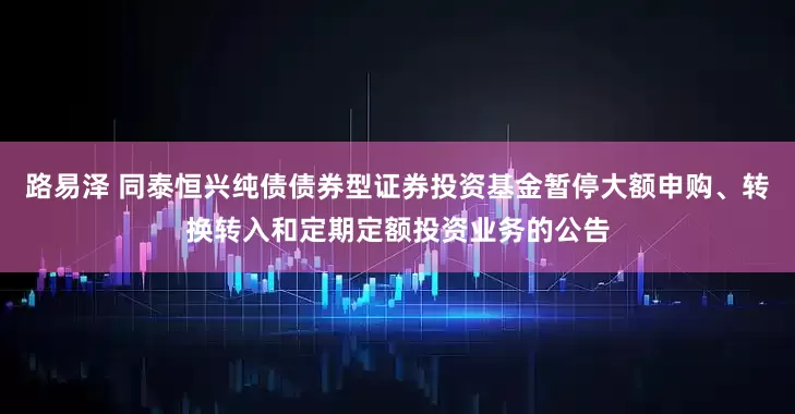 路易泽 同泰恒兴纯债债券型证券投资基金暂停大额申购、转换转入和定期定额投资业务的公告