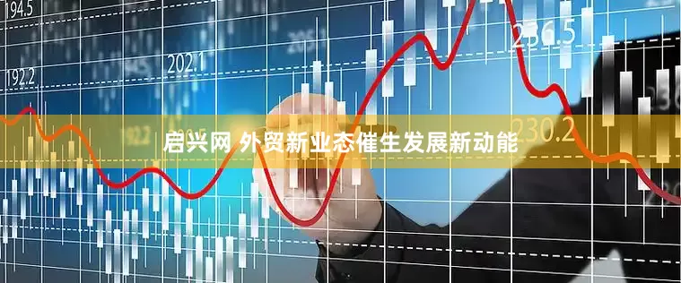 启兴网 外贸新业态催生发展新动能