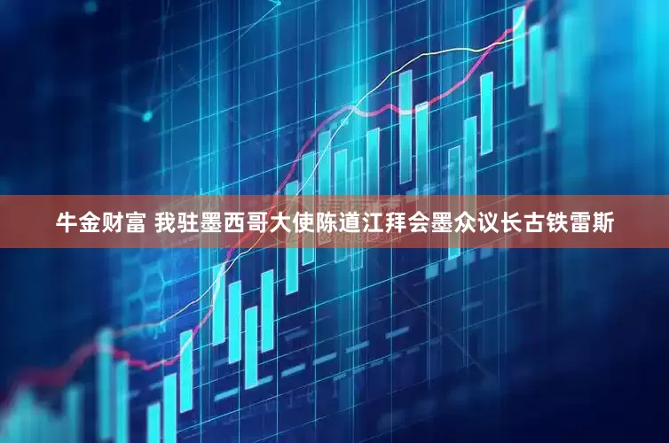 牛金财富 我驻墨西哥大使陈道江拜会墨众议长古铁雷斯