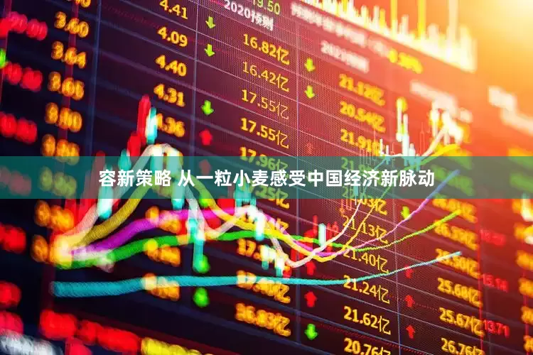 容新策略 从一粒小麦感受中国经济新脉动