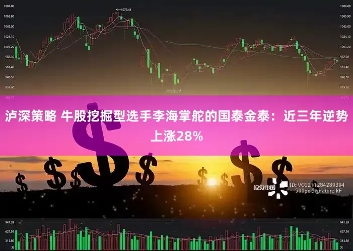 泸深策略 牛股挖掘型选手李海掌舵的国泰金泰：近三年逆势上涨28%