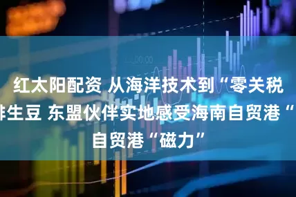 红太阳配资 从海洋技术到“零关税”咖啡生豆 东盟伙伴实地感受海南自贸港“磁力”