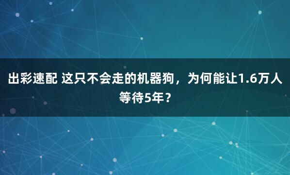 出彩速配 这只不会走的机器狗，为何能让1.6万人等待5年？