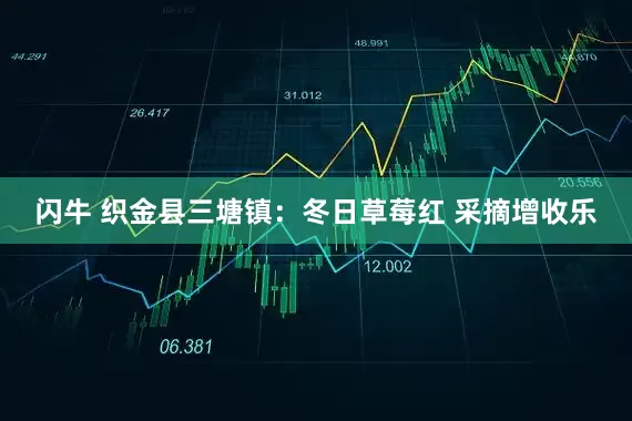 闪牛 织金县三塘镇：冬日草莓红 采摘增收乐